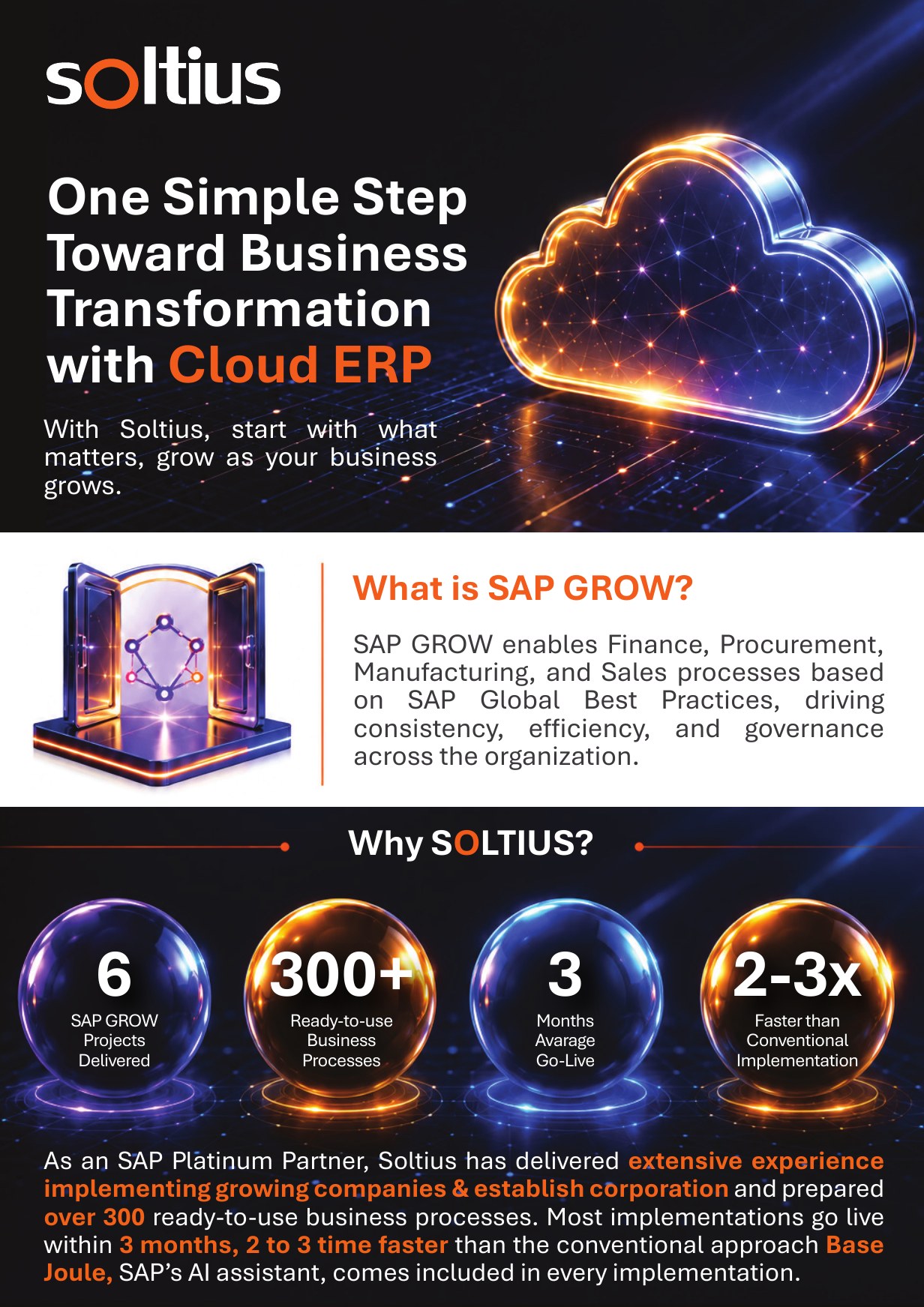 GROW with SAP brochure page 1