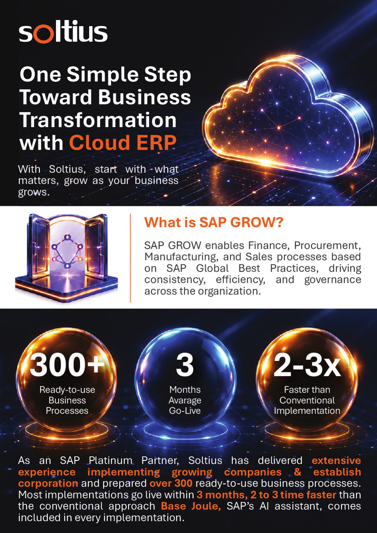 Brosur SAP GROW Fast halaman 1